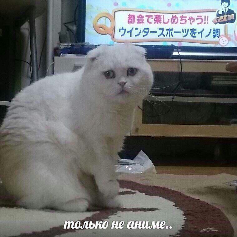 DYfBAA0X0AA9A5D.jpg.jpeg