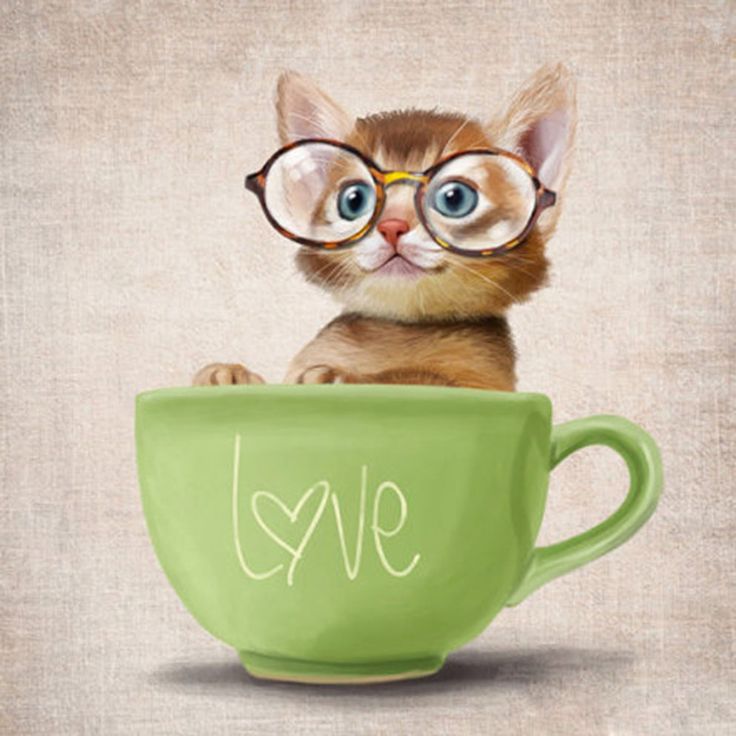 f9042bbf2e213b40c29addeb3deba586--illustration-cat-cat-illustrations.jpg.jpeg