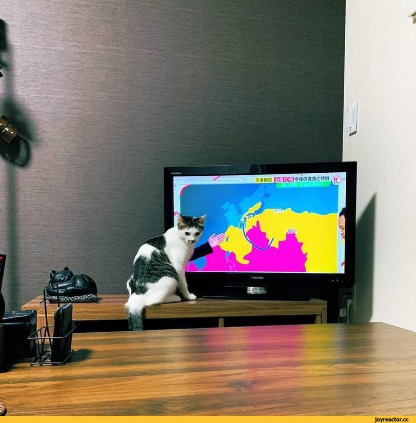 jpg.jpeg