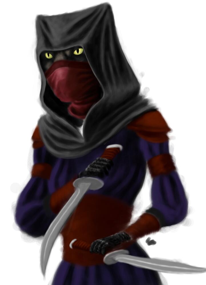 khajiit_by_moonlitroad-d4ga9kg.jpg.jpeg