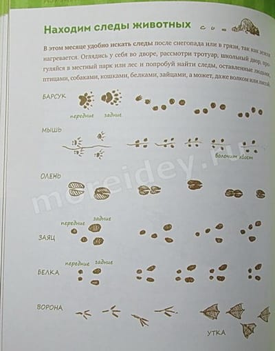 knigi-o-zhivotnyih-i-prirode-2-17.jpg.jpeg