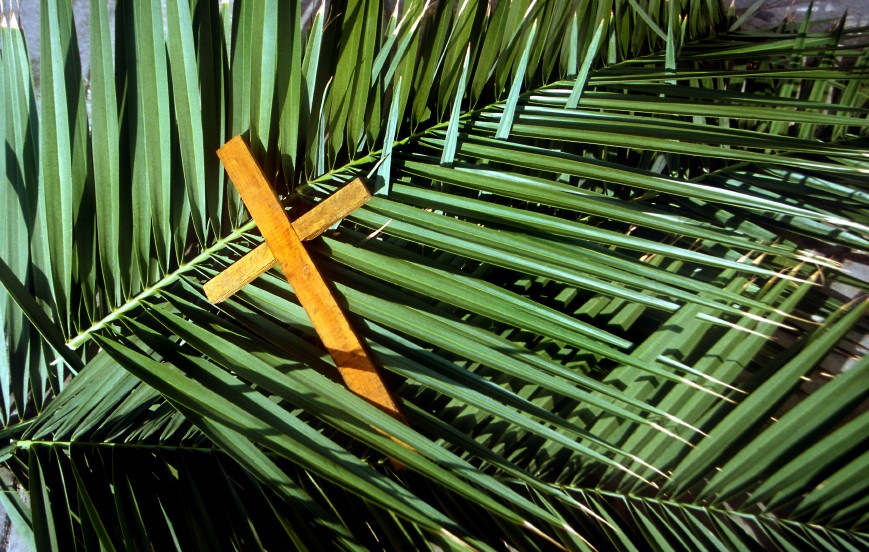 palmscross.jpg.jpeg