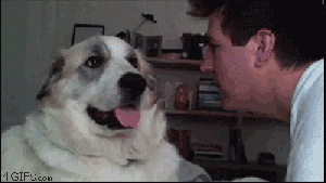 RbnmyRE.gif
