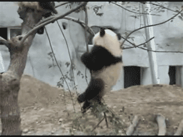s-7cd59af6ef7a23e8b09fd50101f851fd131a7e33.gif