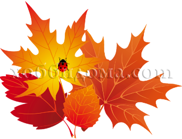 SHablonyi-osennih-listev.png.webp.png