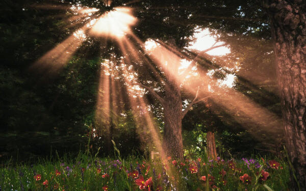 Всякое
