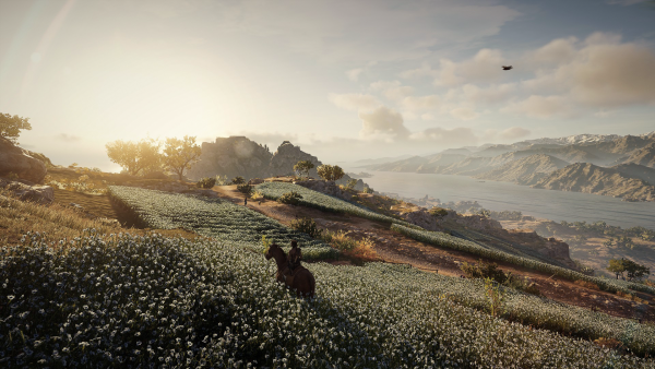 ACOdyssey