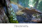 thumb_2f20ad7d080f62c5ad43e16e1db4091c.jpg.jpeg