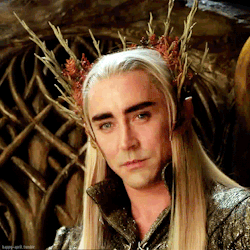 tumblr_b8584350e92a36193413bb471d44f242_a5d513b0_250.gif