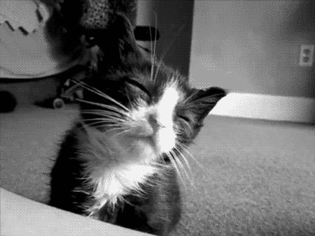 tumblr_inline_mkdax2MZdk1qz4rgp540.gif