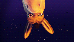 tumblr_m4sgb0u0IT1qbkc1no7_r1_250.gif