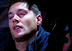 tumblr_mjwid2aGAS1rstq9ro1_r1_250.gif
