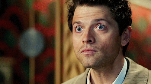 tumblr_ncc0uf940U1rbmgzuo3_r1_500.gif