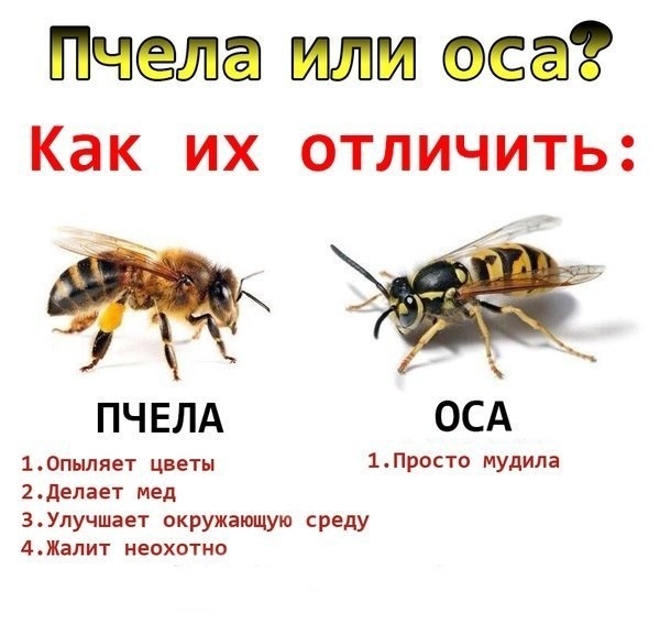 u_70e9d6e44de5405f74807a40ad0285cd_800.jpg.jpeg