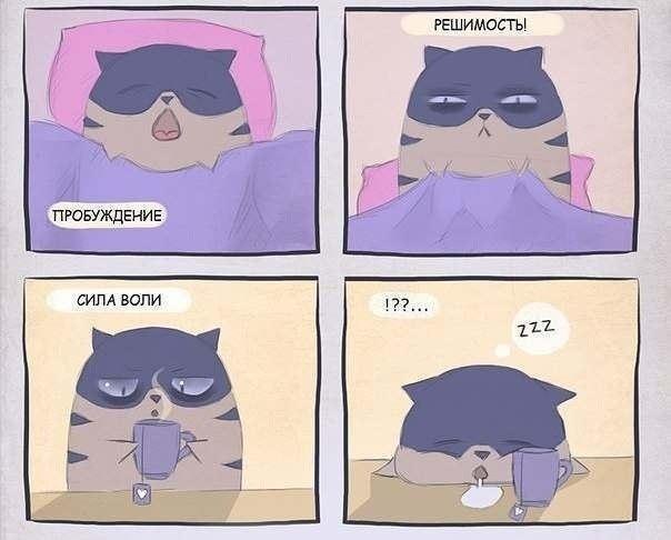 U6j2VJ0_YUg.jpg.jpeg