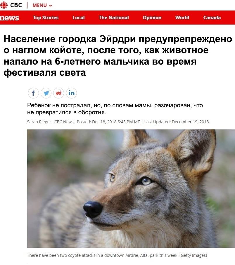 znlXcaEzqPw.jpg.jpeg