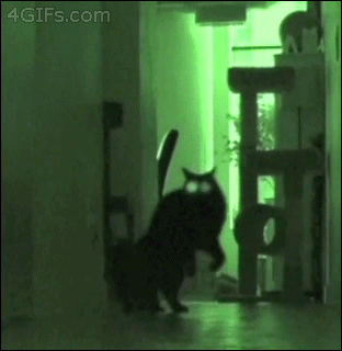 07ae6e05d7bc40bb600eea1d76e580ea.gif