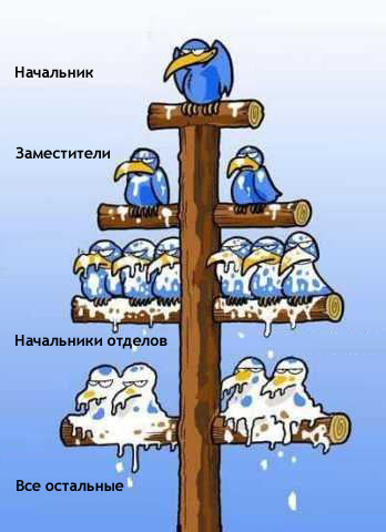 0c8ec37f71fdda78931b91b53300fede.jpg.jpeg