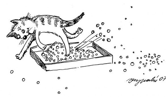 1202487469_cat_17.jpg.jpeg