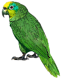 13c5d0532fc4684a8078e922e8412e48.png.webp.png