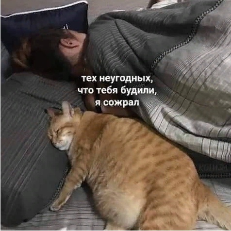 2MXHi1dKUp4.jpg.jpeg