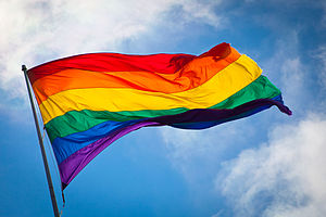 300px-Rainbow_flag_breeze.jpg.jpeg