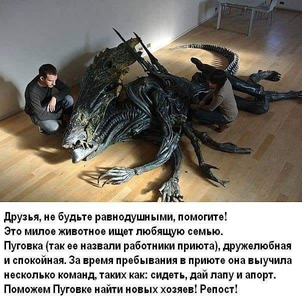 3918582c9a53335d9b655342987630b3.jpg.jpeg