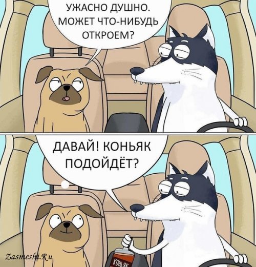 3922-Kogda-hochetsya-rasslabitsya.jpg.jpeg