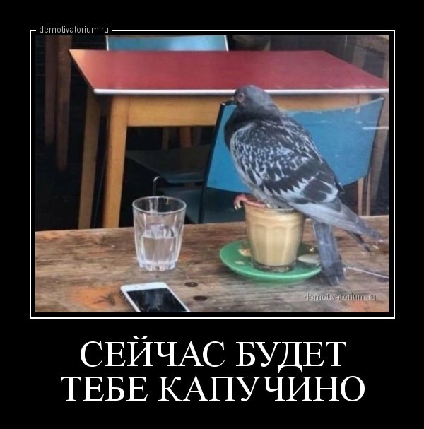 75f7a83f5955b12dbc65ff89cf66dedf.jpg.jpeg