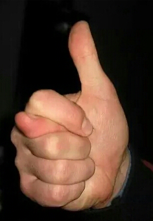 87997589_56fba64184885f57a8d8ea4d27401a9c_800.jpg.jpeg
