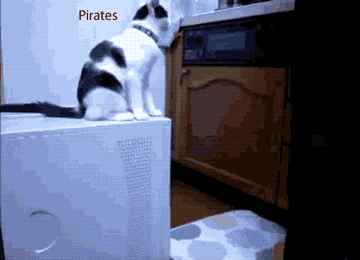 9a434fd426ff.gif