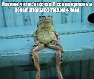 9deee962ab6253acaff37856bb31632c.jpg.jpeg