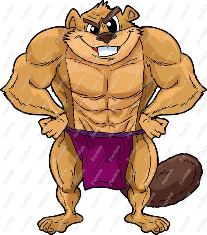 beaver-clip-art.jpg.jpeg