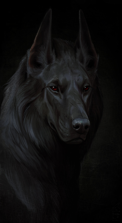 black_dog_by_atenebris-d4o6cep.jpg.jpeg