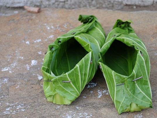 cabbageshoes.jpg.jpeg