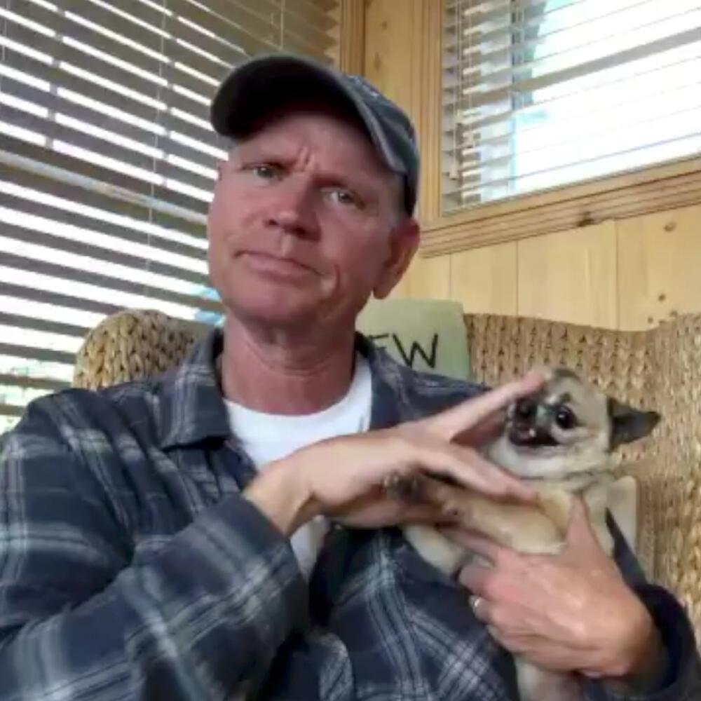 img-petting-your-dog-is-the-ultimate-relaxing-activity-wait-for-it-161.jpg.jpeg