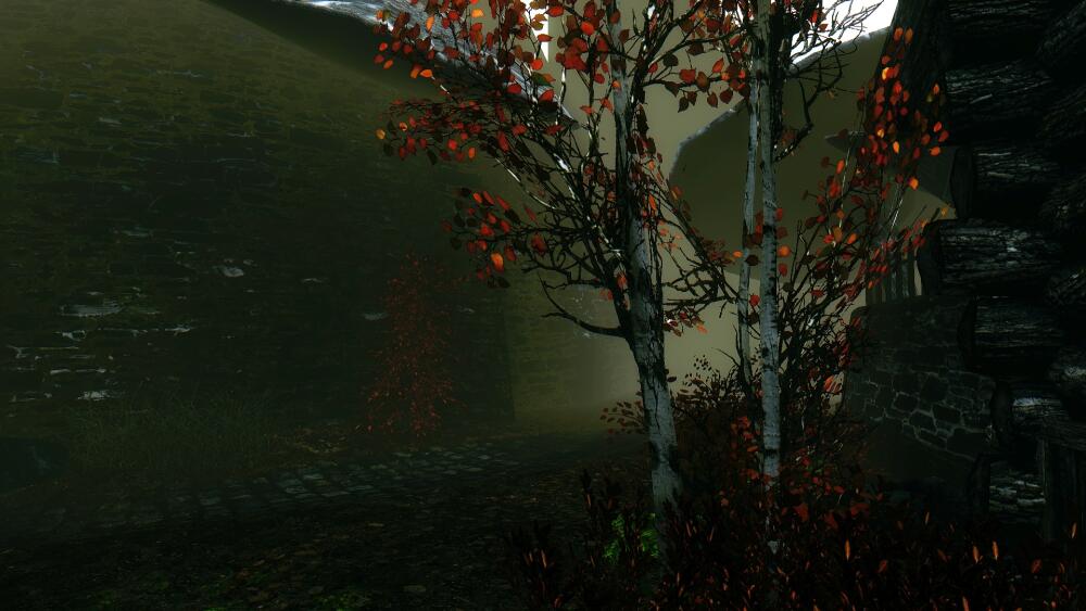 VRdosrG.jpg.jpeg