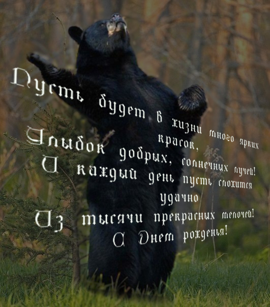 b35250ee1e6163720d03537501287bc3.jpg.jpeg