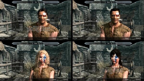 Terminator Skyrim