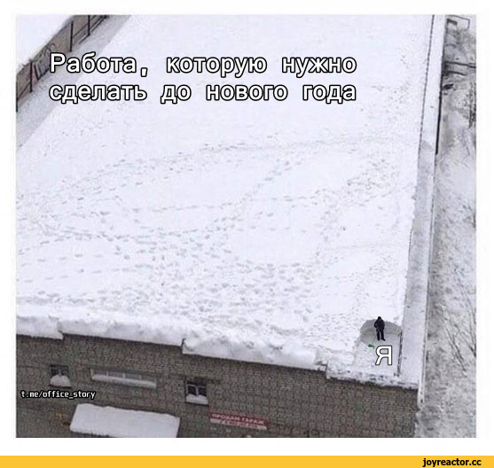 %D0%9F%D1%80%D0%B8%D0%BA%D0%BE%D0%BB%D1%8B-%D0%B4%D0%BB%D1%8F-%D0%B4%D0%B0%D1%83%D0%BD%D0%BE%D0%B2-%D1%80%D0%B0%D0%B7%D0%BD%D0%B.jpeg