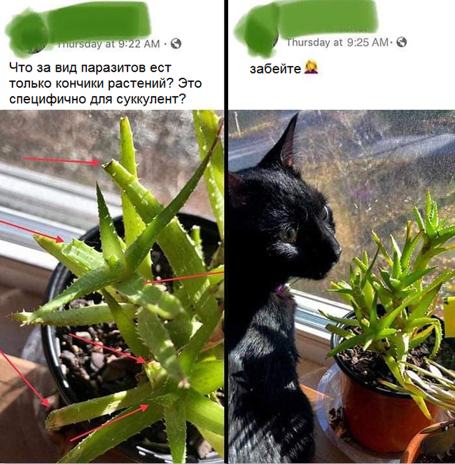 1608794072132648696.png.webp.png