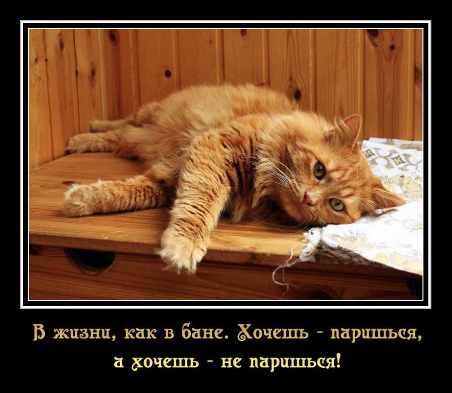 43621-290416-11.jpg.jpeg