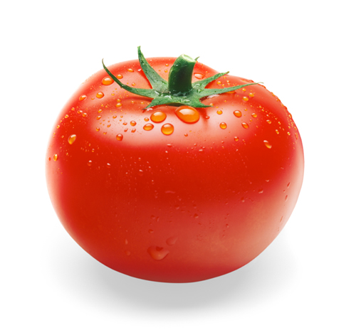 75072713_tomatoisp1.jpg.jpeg