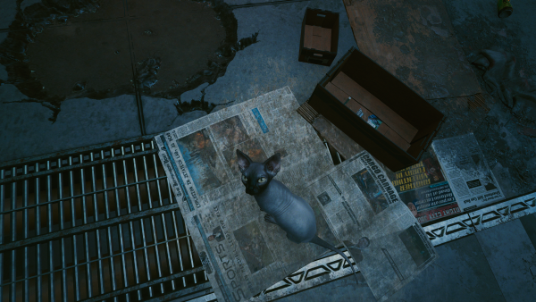 Cyberpunk 2077