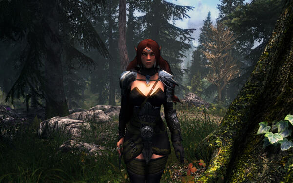 ScreenShot4