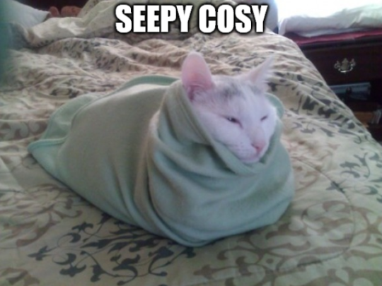 tumblr_f00bf2f753f3d82070cf6b49a82697b3_232db9f7_540.png.webp.png