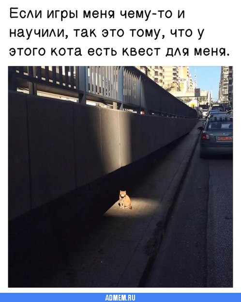 11939cc0e15232e503c3bf3693c1d49f.jpg.jpeg