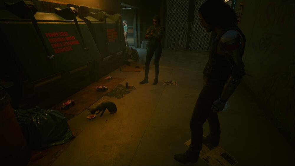1608486759_cyberpunk-2077-where-to-find-a-pet-cat-nibbles-cat-food-3.jpg