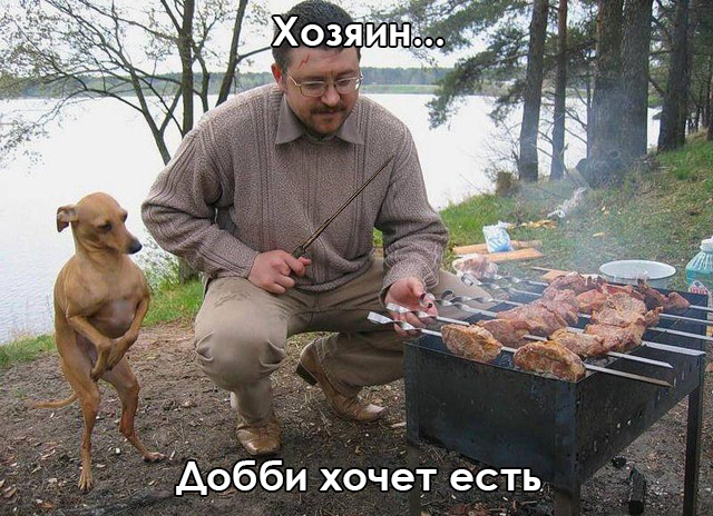 3868f330d25bde235277ecf85a23c5df.jpg.jpeg