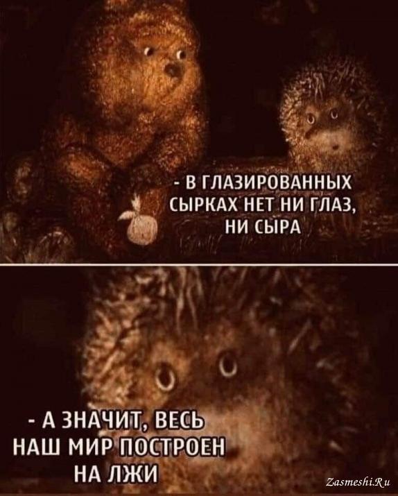 5167-zaberite-u-yozhika-ego-griby.jpg.jpeg